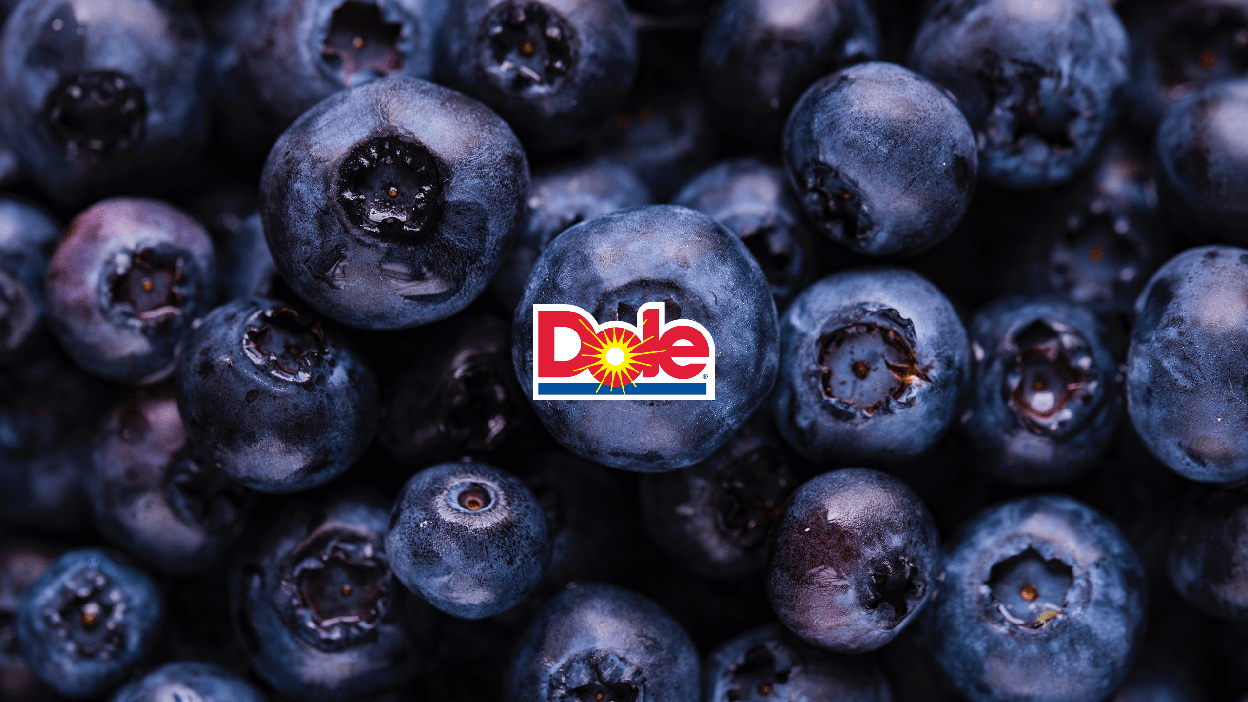 dole_title-25j3xTfs